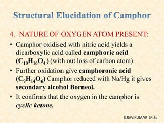 4. NATURE OF OXYGEN ATOM PRESENT:
• Camphor oxidised with nitric acid yields a
dicarboxylic acid called camphoric acid
(C10H16O4 ) (with out loss of carbon atom)
• Further oxidation give camphoronic acid
(C9H14O6) Camphor reduced with Na/Hg it gives
secondary alcohol Borneol.
• It confirms that the oxygen in the camphor is
cyclic ketone.
S.RAVIKUMAR M.Sc
 