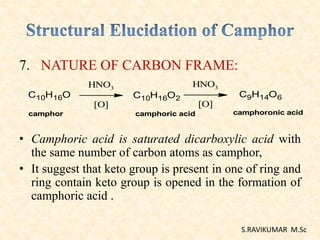 7. NATURE OF CARBON FRAME:
• Camphoric acid is saturated dicarboxylic acid with
the same number of carbon atoms as camphor,
• It suggest that keto group is present in one of ring and
ring contain keto group is opened in the formation of
camphoric acid .
C10H16O C10H16O2 C9H14O6
camphor camphoric acid camphoronic acid
HNO3
[O]
HNO3
[O]
S.RAVIKUMAR M.Sc
 