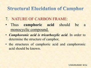 7. NATURE OF CARBON FRAME:
• Thus camphoric acid should be a
monocyclic compound.
• Camphoronic acid is tricarboxylic acid. In order to
determine the structure of camphor,
• the structures of camphoric acid and camphoronic
acid should be known.
S.RAVIKUMAR M.Sc
 