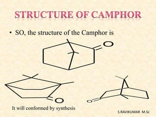 • SO, the structure of the Camphor is
O
O
O
S.RAVIKUMAR M.Sc
It will conformed by synthesis
 