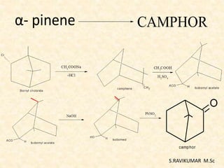 α- pinene CAMPHOR
S.RAVIKUMAR M.Sc
 
