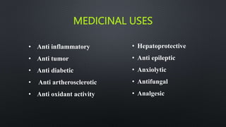 MEDICINAL USES
• Anti inflammatory
• Anti tumor
• Anti diabetic
• Anti artherosclerotic
• Anti oxidant activity
• Hepatoprotective
• Anti epileptic
• Anxiolytic
• Antifungal
• Analgesic
 