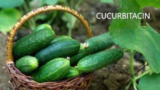 CUCURBITACIN
 