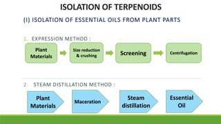 ISOLATION OF TERPENOIDS
(I) ISOLATION OF ESSENTIAL OILS FROM PLANT PARTS
1. EXPRESSION METHOD :
2. STEAM DISTILLATION METHOD :
Plant
Materials
Size reduction
& crushing Screening Centrifugation
Plant
Materials
Maceration
Steam
distillation
Essential
Oil
 