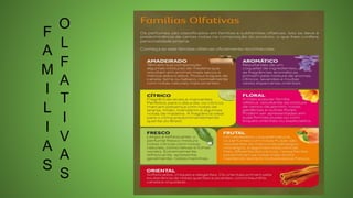 F
A
M
I
L
I
A
S
O
L
F
A
T
I
V
A
S
 