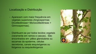Localização e Distribuição
- Aparecem com maior frequência em
vegetais superiores (Angiospermas
Dicotiledôneas> Monocotiledôneas >
Gimnospermas).
- Distribuem-se por todos tecidos vegetais
(raramente em ramos e cascas). São
encontrados em: pêlos glandulares ou
escamas da epiderme, células
secretoras, canais esquisógenos ou
lisígenos ou esquisolisígenos
 