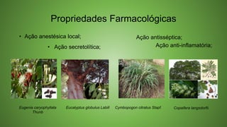Propriedades Farmacológicas
• Ação anestésica local;
• Ação secretolítica;
Eugenia caryophyllata
Thunb
Eucalyptus globulus Labill
Ação antisséptica;
Ação anti-inflamatória;
Cymbopogon citratus Stapf. Copaifera langsdorfii.
 