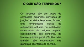 O QUE SÃO TERPENOS?
Os terpenos são um grupo de
compostos orgânicos derivados da
junção de vários isoprenos, formam
uma diversificada classe de
substâncias naturais, ou metabólitos
secundários de origem vegetal,
especialmente das coníferas, de
fórmula química geral (C5H8)n. Mas
também são encontrados nas
glândulas odoríferas de animais.
 