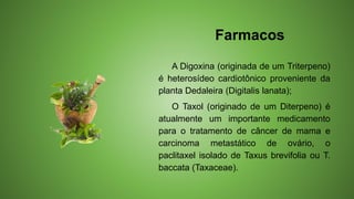 Farmacos
A Digoxina (originada de um Triterpeno)
é heterosídeo cardiotônico proveniente da
planta Dedaleira (Digitalis lanata);
O Taxol (originado de um Diterpeno) é
atualmente um importante medicamento
para o tratamento de câncer de mama e
carcinoma metastático de ovário, o
paclitaxel isolado de Taxus brevifolia ou T.
baccata (Taxaceae).
 