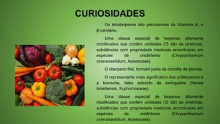 CURIOSIDADES
Os tetraterpenos são percussores da Vitamina A, o
β-caroteno.
Uma classe especial de terpenos altamente
modificados que contém unidades C5 são as piretrinas,
substâncias com propriedade inseticida encontradas em
espécies de crisântemo (Chrysanthemum
cinerariaefolium, Asteraceae).
O diterpeno fitol, formam parte da clorofila de plantas.
O representante mais significativo dos politerpenos é
a borracha, látex extraído da seringueira (Hevea
brasiliensis, Euphorbiaceae).
Uma classe especial de terpenos altamente
modificados que contém unidades C5 são as piretrinas,
substâncias com propriedade inseticida encontradas em
espécies de crisântemo (Chrysanthemum
cinerariaefolium, Asteraceae).
 