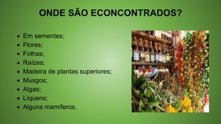 ONDE SÃO ECONCONTRADOS?
 Em sementes;
 Flores;
 Folhas;
 Raízes;
 Madeira de plantas superiores;
 Musgos;
 Algas;
 Líquens;
 Alguns mamíferos.
 