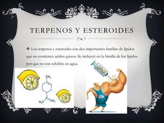 TERPENOS Y ESTEROIDES
 Los terpenos y esteroides son dos importantes familias de lipidos
que no contienen acidos grasos. Se incluyen en la familia de los lipidos
por que no son solubles en agua.
 