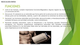 FUNCIONES
 como el ser humano, cumplen importantes funciones:Reguladora: Algunos regulan los niveles de sal
y la secreción de bilis.
 Estructural: El colesterol es un esteroide que forma parte de la estructura de las membranas de las
células junto con los fosfolípidos. Además, a partir del colesterol se sintetizan los demás esteroides.
 Hormonal: Las hormonas esteroides son:Corticoides: glucocorticoides y mineralocorticoides. Existen
múltiples fármacos con actividad corticoide, como la prednisona.
 Hormonas sexuales masculinas: como la testosterona y las hormonas sexuales femeninas: los
estrógenos. Los Fármacos anabolizantes androgénicos esteroides (AE) llamados simplemente
esteroides.Vitamina D y sus derivados.Todos ellos son derivados de los esteroides, por ende es de
suma importancia en el ser humano.
ROCIO ACUÑA FARFAN
 