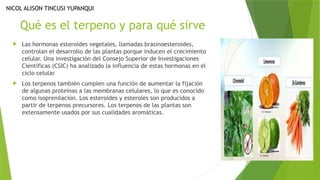 Qué es el terpeno y para qué sirve
 Las hormonas esteroides vegetales, llamadas brasinoesteroides,
controlan el desarrollo de las plantas porque inducen el crecimiento
celular. Una investigación del Consejo Superior de Investigaciones
Científicas (CSIC) ha analizado la influencia de estas hormonas en el
ciclo celular
 Los terpenos también cumplen una función de aumentar la fijación
de algunas proteínas a las membranas celulares, lo que es conocido
como isoprenilación. Los esteroides y esteroles son producidos a
partir de terpenos precursores. Los terpenos de las plantas son
extensamente usados por sus cualidades aromáticas.
NICOL ALISON TINCUSI YUPANQUI
 