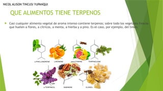 QUE ALIMENTOS TIENE TERPENOS
 Casi cualquier alimento vegetal de aroma intenso contiene terpenos; sobre todo los vegetales frescos
que huelen a flores, a cítricos, a menta, a hierba y a pino. Es el caso, por ejemplo, del limón.
NICOL ALISON TINCUSI YUPANQUI
 
