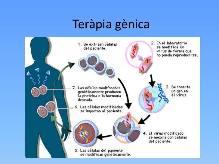 Que Relação Existe Entre A Terapia Gênica E Os Vírus