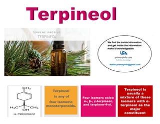 Add Quote Here
Add Quote Here Add Quote Here
Add Quote Here
Four isomers exist:
α-, β-, γ-terpineol,
and terpinen-4-ol.
Terpineol
is any of
four isomeric
monoterpenoids.
Terpineol is
usually a
mixture of these
isomers with α-
terpineol as the
major
constituent.
 