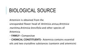 BIOLOGICAL SOURCE
Artemisin is obtained from the
unexpanded flower head of Artimisia annua,Artimisia
maritima,Artimisia brevifolia and other species of
Artemisia
FAMILY- Compositae
CHEMICAL CONSTITUENTS- Astemisia contains essential
oils and two crystalline substances (santonin and artemisin)
 