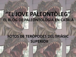“EL JOVE PALEONTÒLEG”
EL BLOG DE PALEONTOLOGIA EN CATALÀ

FOTOS DE TERÒPODES DEL TRIÀSIC
SUPERIOR

 