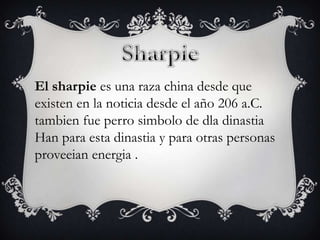 El sharpie es una raza china desde que
existen en la noticia desde el año 206 a.C.
tambien fue perro simbolo de dla dinastia
Han para esta dinastia y para otras personas
proveeian energia .

 