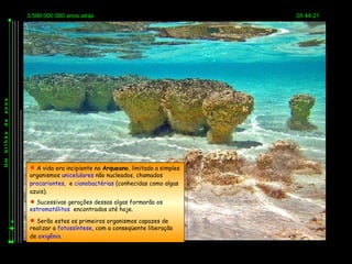 3.500.000.000 anos atrás                                  05:44:21
anos
de
bilhão
Um




          A vida era incipiente no Arqueano, limitada a simples
         organismos unicelulares não nucleados, chamados
         procariontes, e cianobactérias (conhecidas como algas
         azuis).
          Sucessivas gerações dessas algas formarão os
         estromatólitos encontrados até hoje.
          Serão estes os primeiros organismos capazes de
         realizar a fotossíntese, com a conseqüente liberação
         de oxigênio.
 