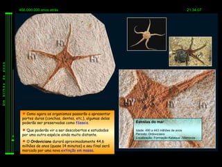 466.000.000 anos atrás                                                                   21:34:07
anos
de
bilhão
Um




           Como agora os organismos passarão a apresentar
          partes duras (conchas, dentes, etc.), algumas delas
          poderão ser preservadas como fósseis.                 Estrelas do mar

           Que poderão vir a ser descobertos e estudados       Idade: 490 a 443 milhões de anos
          por uma outra espécie ainda muito distante.           Período: Ordoviciano
                                                                Localização: Formação Kataoua , Marrocos
           O Ordoviciano durará aproximadamente 44,6
          milhões de anos (quase 14 minutos) e seu final será
          marcado por uma nova extinção em massa.
 