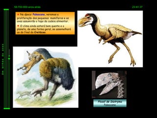 58.700.000 anos atrás                                                23:41:37

            Na época Paleoceno, veremos a
           proliferação dos pequenos mamíferos e as
           aves assumirão o topo da cadeia alimentar.
            O clima ainda estará bem quente e o
           planeta, de uma forma geral, se assemelhará
           ao do final do Cretáceo.
anos
de
bilhão
Um




                                                         Fóssil de Diatryma
                                                             Paleoceno
 
