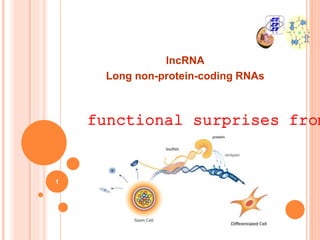 lncRNA
Long non-protein-coding RNAs
functional surprises from
1
 