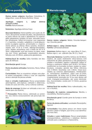 Plantas Aromáticas do Concelho de Bragança10 Plantas Aromáticas do Concelho de Bragança10
Erva-pombinha
Outros nomes vulgares: Aquilégia; Columbina; Fi-
dalguinhos; Luvas-de-Nossa-Senhora; Viúvas
Aquilegia vulgaris L. subsp dichroa
(Freyn)T.E.Diaz
Família: Ranunculaceae
Sinónimos: Aquilegia dichroa Freyn
Descrição Botânica: Hemicriptófito com caules de 20-
75cm, densamente vestidos de pêlos, não glandulosos
na parte inferior do caule e glandulosos na superior;
pêlos glandulosos túrgidos na base, atenuado-rostra-
dos distalmente; folhas bi-trissectas, com segmentos
2- a 3-partidos, crenados, subglabros, e verde-glauces-
centes na página superior, acinzentados e ± esparsa-
mente pilosos na inferior; flores nutantes, bicolores;
sépalas com 15-20 X 5-7mm, oblongo-lanceoladas,
azuis; tépalas nectaríferas com o limbo de 8-9 X 8-
9mm, subquadrado, azul mas branco no ápice; espo-
rão com 12mm, gancheado; estaminódios obtusos;
folículos com 20-30mm, pubescente-glandulosos.
Habitat/local de recolha: Solos húmidos em bos-
ques de folhosas
Distribuição geral: Europa
Partes da planta utilizadas: Sementes, flores, folhas
e raiz
Curiosidades: Para os ervanários antigos esta plan-
ta estava consagrada a Vénus e usar um saquinho
atraia a atenção da pessoa amada.
Usos e virtudes tradicionais: Possui propriedades
adstringentes, anti-sépticas, calmante e detersivas.
Usada em casos de tinha, sarna e úlceras cutâneas.
Modo de emprego: Só deve ser utilizada a raiz e so-
mente para uso externo.
1Precauções: Planta tóxica, sobretudo as semen-
tes. Uso interno exclusivamente sob prescrição mé-
dica
Marroio-negro
Outros nomes vulgares: Balota; Erva-das-lampari-
nas; Erva-dos-pavios
Ballota nigra L. subsp. foetida Hayek
Família: Lamiaceae(Labiatae)
Sinónimos: Ballota nigra L. var. nigra (Briq.) P. Cout.,
Ballota nigra L. var. ruderalis (Sw.) W. D. J. Koch
Descrição Botânica: Caméfito lenhoso de 60-80cm,
inodoro, de caules molemente viloso-lanosos com
indumento de pêlos glandulosos e não glandulosos,
simples e estrelados, papilas e glândulas; folhas in-
feriores e caulinares médias com 30-60 x 30-50mm,
cordiformes ou truncadas na base, ovadas ou subor-
biculares, crenadas; pecíolo das folhas inferiores
com 5-40mm; bractéolas com 3-8mm, linear-asso-
veladas (as externas oblanceoladas), membranáce-
as; verticilastros multifloros; cálice com 8-12mm,
campanulado, de limbo com 8-10mm de diâmetro,
irregularmente recortado em 10 ou mais dentes até
2mm, triangular-acuminados, por vezes denticula-
dos, mucronulados; corola com 14-16mm, purpúrea
ou branca.
Habitat/local de recolha: Sítios ruderalizados, mu-
ros e incultos.
Exemplos de espécies companheiras: Mentha x
rotundifolia, Parietaria judaica.
Distribuição geral: Grande parte da Europa e norte
de África
Partes da planta utilizadas: sumidades florais(Julho-
Agosto)
Curiosidades: Esta planta possui um cheiro muito
peculiar a bolor e fuligem, que torna a sua identifica-
ção mais fácil.
Virtudes e usos tradicionais: Possui propriedades
antiespasmódicas, coleréticas e sedativas. Outrora
utilizado para a epilepsia e a hipocondria.
 