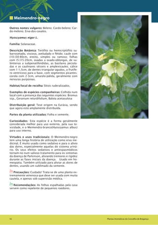 1616 Plantas Aromáticas do Concelho de Bragança
Meimendro-negro
Outros nomes vulgares: Beleno; Cardo-beleno; Car-
do-meleno; Erva-dos-cavalos.
Hyoscyamus niger L.
Família: Solanaceae.
Descrição Botânica: Terófito ou hemicriptófito su-
barrosetado, viscoso, aveludado e fétido; caule com
(10-)30-80cm, erecto, simples ou ramoso; folhas
com (5-)15-20cm, ovadas a ovado-oblongas, de su-
binteiras a subpenatifendidas, as basilares peciola-
das e as caulinares sésseis e amplexicaules; cálice
com 1-1,5cm, de dentes triangular-agudos, o frutífe-
ro ventricoso para a base, com segmentos picantes;
corola com 2-3cm, amarelo-pálida, geralmente com
nervuras purpúreas.
Habitat/local de recolha: Sítios ruderalizados.
Exemplos de espécies companheiras: Colhida num
local com a presença das seguintes espécies: Bromus
ssp., Geranium returdifolium, Balota acetasulosa
Distribuição geral: Teve origem na Eurásia, sendo
que agora está amplamente distribuída.
Partes da planta utilizadas: Folha e semente.
Curiosidades: Esta espécie é a forma geralmente
considerada melhor para uso externo, pela sua to-
xicidade, e o Meimendro-branco(Hyoscyamus albus)
para uso interno.
Virtudes e usos tradicionais: O Meimendro-negro
tem uma longa história de utilização como erva me-
dicinal. È muito usado como sedativo e para o alívio
das dores, especialmente aquelas do sistema uriná-
rio. Os seus efeitos sedativos e antiespasmódicos
tornam-no num valioso tratamento para os sintomas
da doença de Parkinson, aliviando tremores e rigidez
durante as fases iniciais da doença. Usado em ho-
meopatia. Também utilizado para aliviar as dores de
dentes, usando um sublimado da semente.
1Precauções: Cuidado! Trata-se de uma planta ex-
tremamente venenosa que deve ser usada com muita
cautela, e apenas sob supervisão médica.
1Recomendações: As folhas espalhadas pela casa
servem como repelente de pequenos roedores.
 