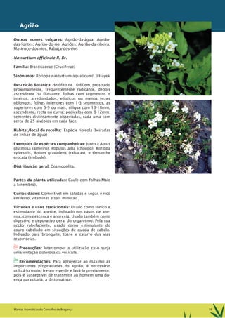 19Plantas Aromáticas do Concelho de Bragança
Agrião
Outros nomes vulgares: Agrião-da-água; Agrião-
das-fontes; Agrião-do-rio; Agriões; Agrião-da-ribeira;
Mastruço-dos-rios; Rabaça-dos-rios
Nasturtium officinale R. Br.
Família: Brassicaceae (Cruciferae)
Sinónimos: Rorippa nasturtium-aquaticum(L.) Hayek
Descrição Botânica: Helófito de 10-60cm, prostrado
proximalmente, frequentemente radicante, depois
ascendente ou flutuante; folhas com segmentos ±
inteiros, arredondados, elípticos ou menos vezes
oblongos; folhas inferiores com 1-3 segmentos, as
superiores com 5-9 ou mais; silíqua com 13-18mm,
ascendente, recta ou curva; pedicelos com 8-12mm;
sementes distintamente bisseriadas, cada uma com
cerca de 25 alvéolos em cada face.
Habitat/local de recolha: Espécie ripicola (beiradas
de linhas de água)
Exemplos de espécies companheiras: Junto a Alnus
glutinosa (amieiro), Populus alba (choupo), Rorippa
sylvestris, Apium graviolens (rabaças), e Oenanthe
crocata (embude).
Distribuição geral: Cosmopolita.
Partes da planta utilizadas: Caule com folhas(Maio
a Setembro).
Curiosidades: Comestível em saladas e sopas e rico
em ferro, vitaminas e sais minerais.
Virtudes e usos tradicionais: Usado como tónico e
estimulante do apetite, indicado nos casos de ane-
mia, convalescença e anorexia. Usado também como
digestivo e depurativo geral do organismo. Pela sua
acção rubefaciente, usado como estimulante do
couro cabeludo em situações de queda de cabelo.
Indicado para bronquite, tosse e catarro das vias
respirtórias.
1Precauções: Interromper a utilização caso surja
uma irritação dolorosa da vesícula.
1Recomendações: Para aproveitar ao máximo as
importantes propriedades do agrião, é necessário
utilizá-lo muito fresco e verde e lavá-lo previamente,
pois é susceptível de transmitir ao homem uma do-
ença parasitária, a distomatose.
 