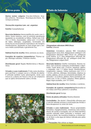 Plantas Aromáticas do Concelho de Bragança20 Plantas Aromáticas do Concelho de Bragança20
Erva-prata
Outros nomes vulgares: Erva-dos-linheiros; Erva-
dos-unheiros; Paroníquia; Paroníquia-de-Clúsio; Pa-
roníquia-prateada.
Paronychia argentea Lam. var. argentea
Família: Caryophyllaceae
Descrição Botânica: Hemicriptófito de caules com 5-
40cm, muito ramosos, com os entrenós geralmente
igualando ou excedendo as folhas; folhas com 4-8(-
15) x 2-4mm, mucronadas; cálice com 1,5-2,5mm,
de lobos oblongos, acapelados, terminados em
arista lisa ou escassamente espinulosa e de margens
membranáceas, igualando ou mais largas que a ner-
vura média acastanhada e geralmente lisa.
Habitat/local de recolha: Sítios arenosos ou secos.
Exemplos de espécies companheiras: Thymus zy-
gis, Plantago subulata, Trifolium cherleri.
Distribuição geral: Região Mediterrânica e Macaro-
nésia
Virtudes e usos tradicionais: É tida como diurética,
para purificar o sangue usa-se a infusão da planta.
É utilizada também como adstringente, neste caso
tritura-se a planta em fresco e faz-se um emplastro
que se aplica directamente sobre a ferida.
Selo de Salomão
Polygonatum odoratum (Mill) Druce
Família: Liliaceae
Sinónimos: Convallaria odorata Mill. Convallaria
polygonatum sensu Brot. Polygonatum ambigum Link
Polygonatum odoratum (Mill.) Druce var. ambiguum
(Link) Rothm. et P. Silva Polygonatum officinale All.
Polygonatum officinale All. var. ambigum (Link) Hen-
riq. Polygonatum vulgare Desf.
Descrição Botânica: Géofito rizomatoso. Rizoma no-
doso, com cicatrizes caulinares arredondadas e depri-
midas. Caule aéreo com 15-65cm, anguloso, glabro,
± arqueado, com 1-3 folhas basais membranáceas,
invaginantes, caducas. Folhas caulinares com 3-15 x
1-8,5cm, alternas, oblongas, lanceoladas, elípticas ou
ovadas, glabras, sésseis ou curtamente pecioladas. Pe-
dúnculos 1-2(-5)-floros, glabros. Flores aromáticas; pe-
rianto com 12-30 x 4-9mm, tubuloso; filetes glabros.
Bagas negro-azuladas, com 10-12mm.
Habitat/local de recolha: Sítios húmidos e sombrios.
Exemplos de espécies companheiras:Desenvolve-se
em matas com Pinus sylvestris e carvalhos
Distribuição geral: Europa
Partes da planta utilizadas: Rizoma (Outono)
Curiosidades : No século I, Dioscórides afirmava que
o selo-de-salomão activava a cicatrização das feridas e
fazia desaparecer os sinais do rosto.
Virtudes e usos tradicionais: Possui propriedades
hemolítics, hipoglicemiantes, resolutivas. Este rizoma,
depois de cozido e esmagado, tem um efeito benéfico
quando colocado sobre contusões e inchaços, pois
atenua as dores. Na cosmética moderna, o rizoma ser-
ve de base a uma água de beleza indicada para peles
sem brilho.
1Precauções: Não utilizar as bagas.
 
