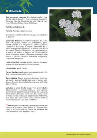 88 Plantas Aromáticas do Concelho de Bragança
Milfolhada
Outros nomes vulgares: Erva-das-cortadelas; Erva-
de-São-João-de-Ggrisley; Erva-carpinteira; Eupatório-
demésue; Macela, Macela-de-São-João; Macela-Fran-
cesa; Milefólio; Mil-em-rama; Milfolhada
Achillea millefolium L.
Família: Asteraceae(Compositae)
Sinónimos: Achillea millefolium L. var. genuina Gren.
et Godron
Descrição Botânica: Caméfito herbáceo de caules
com 8-40(-60)cm, erectos ou ascendentes, geral-
mente simples e ± lanuginosos; folhas caulinares
lanceoladas a lineares, ± roliças e com mais de 15
pares de segmentos primários, as médias com 30-50
x 5-12mm, oblongo-lanceoladas, 2(-3)-penatissectas,
± pilosas em ambas as páginas, de ráquis com 0,5-
1mm de largura, inteira; corimbos geralmente com
muitos capítulos; brácteas involurais subglabras,
raramente lanugiosas.
Habitat/local de recolha: Prados, bermas dos cami-
nhos e das vias férreas em locias húmidos.
Distribuição geral: Europa
Partes da planta utilizadas: sumidades floridas, fo-
lhas e sementes(Junho-Setembro)
Curiosidades: Deve o seu nome latino ao herói gre-
go Aquiles que conhecedor das suas virtudes a utili-
zou no decorrer de uma batalha para curar as feridas
do Rei Telefo.
Virtudes e usos tradicionais: Tem propriedades
adstringentes, anti-espasmódicas, anti-sépticas,
carminativas, cicatrizantes, diuréticas, emenagogas,
hemostáticas, tónicas e vulnerárias. Nos meios rurais
é usada não só pelas suas propriedades medicinais,
mas ainda para conservar o vinho, introduzindo no
tonel um pequeno saco com sementes.
1Precauções: Não deve ser usada por mulheres em
lactação e gestantes, pode provocar sangramentos.
Evitar a acção do sol nas zonas da epiderme em
contacto com o suco da planta fresca.
 