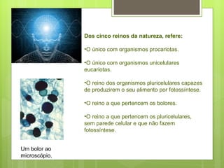 Dos cinco reinos da natureza, refere: O único com organismos procariotas. O único com organismos unicelulares eucariotas. O reino dos organismos pluricelulares capazes de produzirem o seu alimento por fotossíntese. O reino a que pertencem os bolores. O reino a que pertencem os pluricelulares, sem parede celular e que não fazem fotossíntese. Um bolor ao microscópio. 