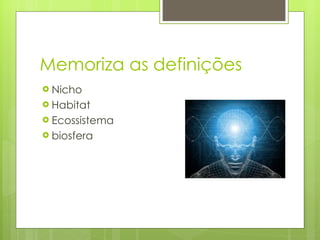 Memoriza as definições Nicho Habitat Ecossistema biosfera 