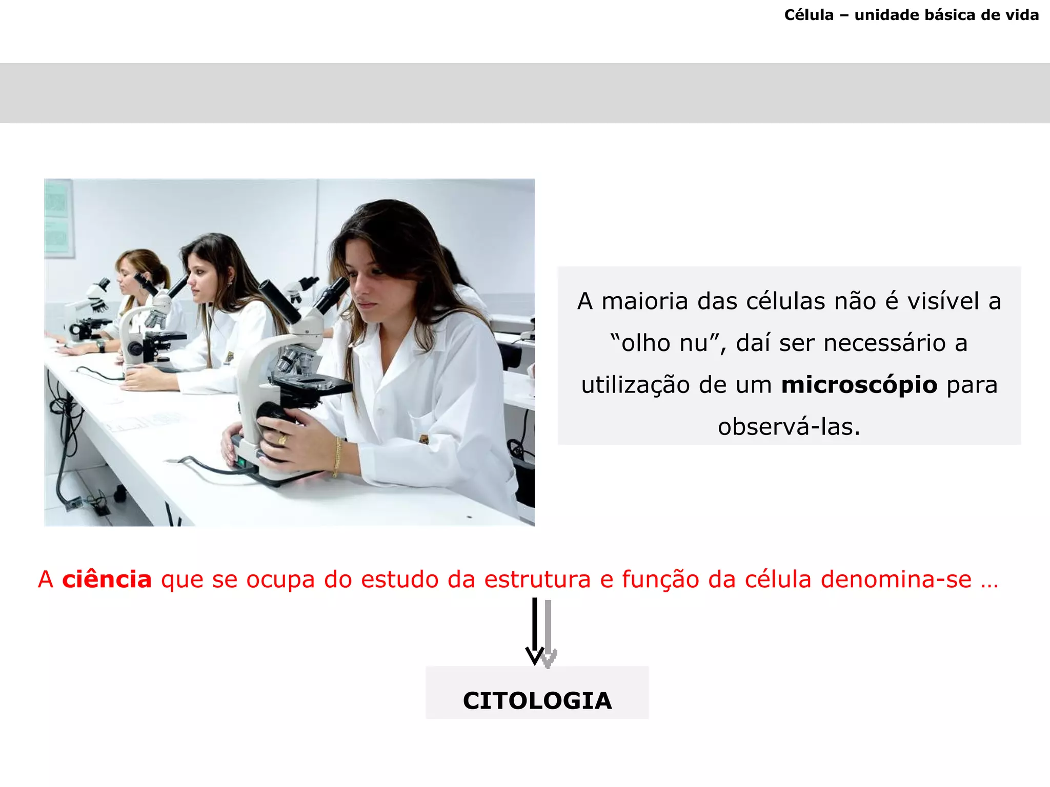 Célula – unidade básica de vida A maioria das células não é visível a “olho nu”, daí ser necessário a utilização de um  microscópio  para observá-las. A  ciência  que se ocupa do estudo da estrutura e função da célula denomina-se … CITOLOGIA 