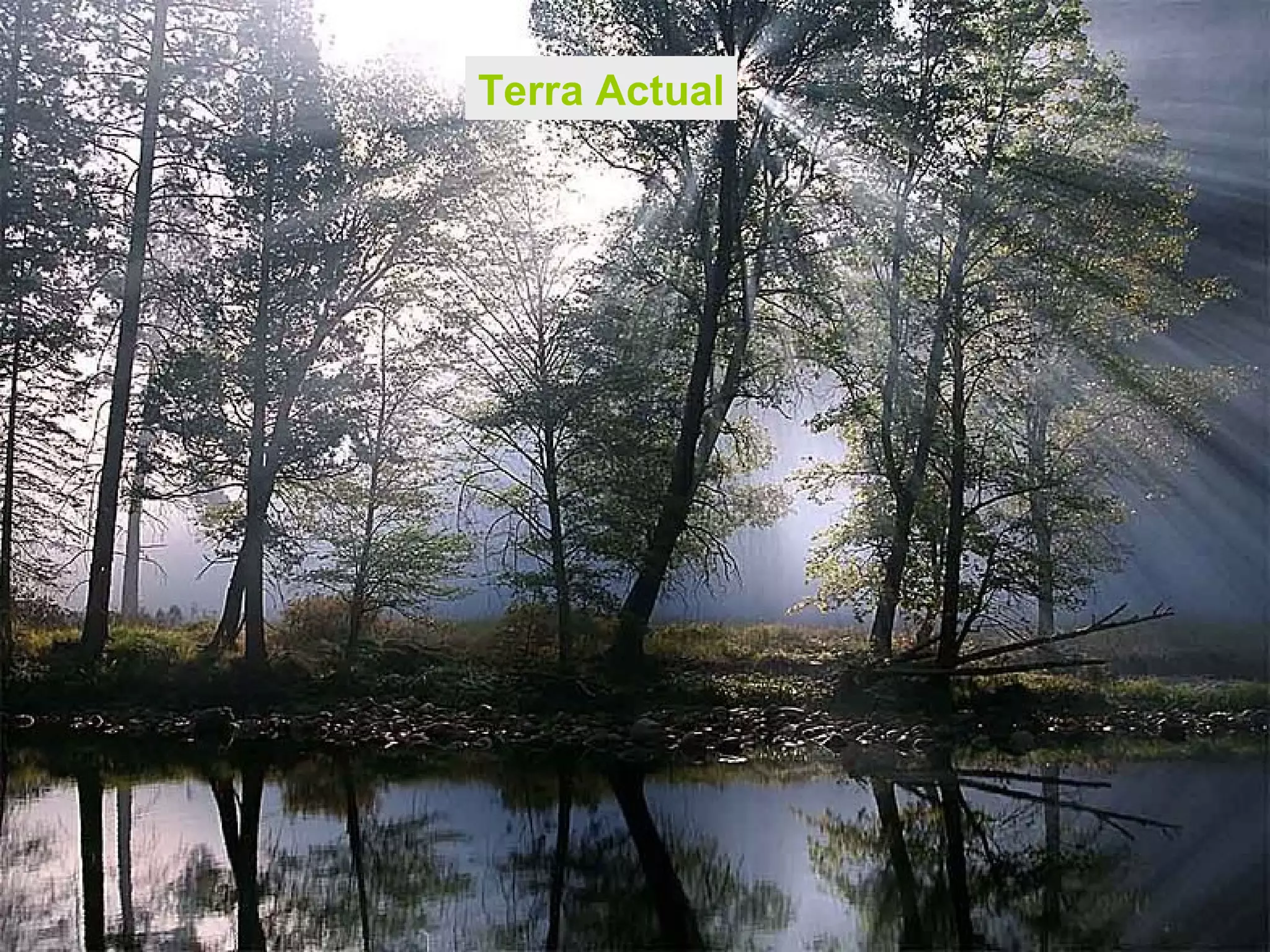 Terra Actual 