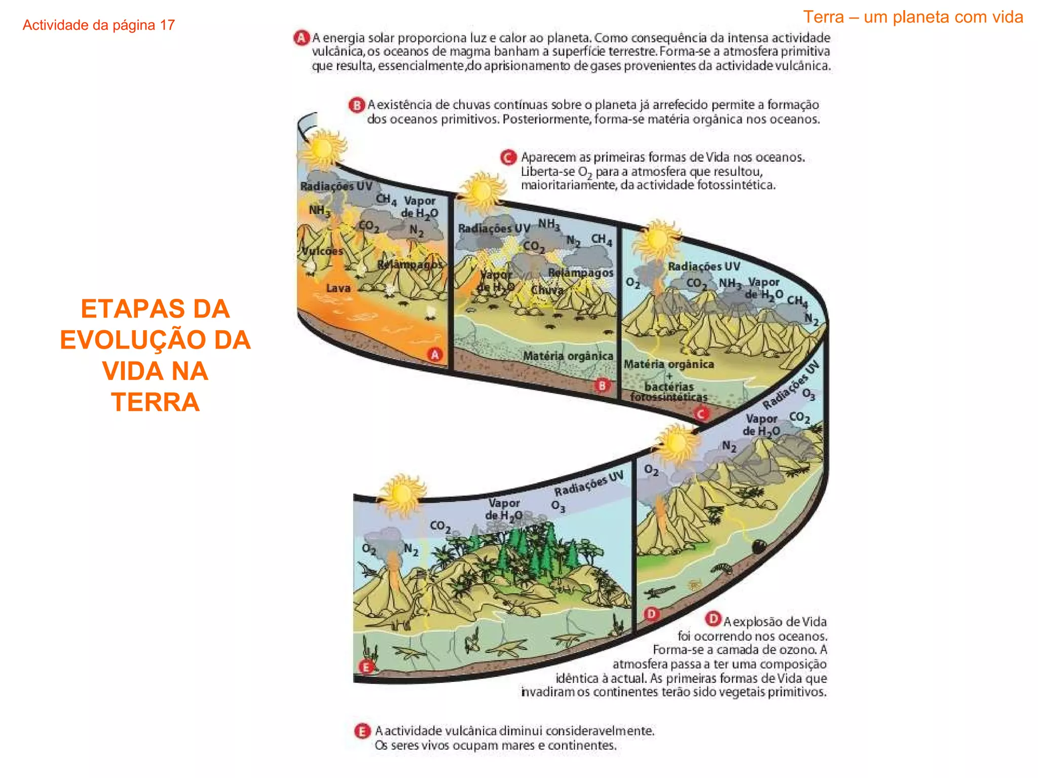 ETAPAS DA EVOLUÇÃO DA VIDA NA TERRA Terra – um planeta com vida Actividade da página 17 