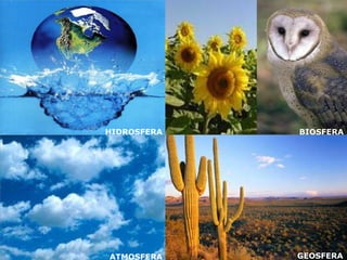 A Terra como um sistema HIDROSFERA ATMOSFERA BIOSFERA GEOSFERA 