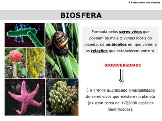 BIOSFERA A Terra como um sistema Formada pelos  seres vivos  que povoam os mais diversos locais do planeta, os  ambientes  em que vivem e as  relações  que estabelecem entre si. BIODIVERSIDADE É a grande  quantidade  e  variabilidade  de seres vivos que existem no planeta (existem cerca de 1722000 espécies identificadas). 