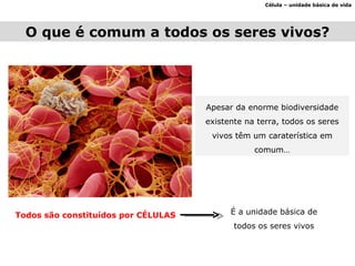 O que é comum a todos os seres vivos? Célula – unidade básica de vida Apesar da enorme biodiversidade existente na terra, todos os seres vivos têm um caraterística em comum… Todos são constituídos por CÉLULAS É a unidade básica de todos os seres vivos 