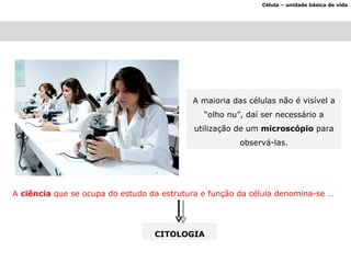 Célula – unidade básica de vida A maioria das células não é visível a “olho nu”, daí ser necessário a utilização de um  microscópio  para observá-las. A  ciência  que se ocupa do estudo da estrutura e função da célula denomina-se … CITOLOGIA 