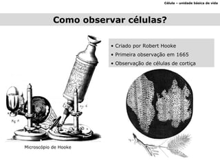 Como observar células? Célula – unidade básica de vida Microscópio de Hooke Criado por Robert Hooke Primeira observação em 1665 Observação de células de cortiça 