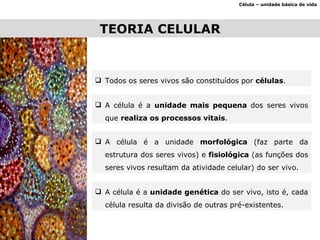 TEORIA CELULAR Célula – unidade básica de vida Todos os seres vivos são constituídos por  células . A célula é a  unidade mais pequena  dos seres vivos que  realiza os processos vitais . A célula é a unidade  morfológica  (faz parte da estrutura dos seres vivos) e  fisiológica  (as funções dos seres vivos resultam da atividade celular) do ser vivo. A célula é a  unidade genética  do ser vivo, isto é, cada célula resulta da divisão de outras pré-existentes. 