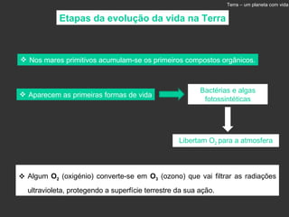 Nos mares primitivos acumulam-se os primeiros compostos orgânicos. Bactérias e algas fotossintéticas Libertam O 2  para a atmosfera Algum  O 2  (oxigénio) converte-se em  O 3  (ozono) que vai filtrar as radiações ultravioleta, protegendo a superfície terrestre da sua ação.  Etapas da evolução da vida na Terra Terra – um planeta com vida Aparecem as primeiras formas de vida 