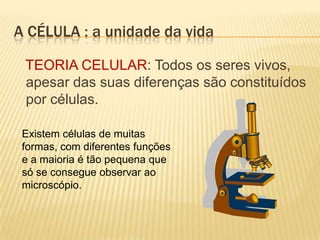A CÉLULA : a unidade da vida

 TEORIA CELULAR: Todos os seres vivos,
 apesar das suas diferenças são constituídos
 por células.

 Existem células de muitas
 formas, com diferentes funções
 e a maioria é tão pequena que
 só se consegue observar ao
 microscópio.
 