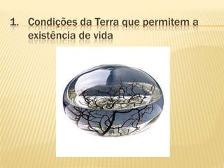 1. Condições da Terra que permitem a
   existência de vida
 