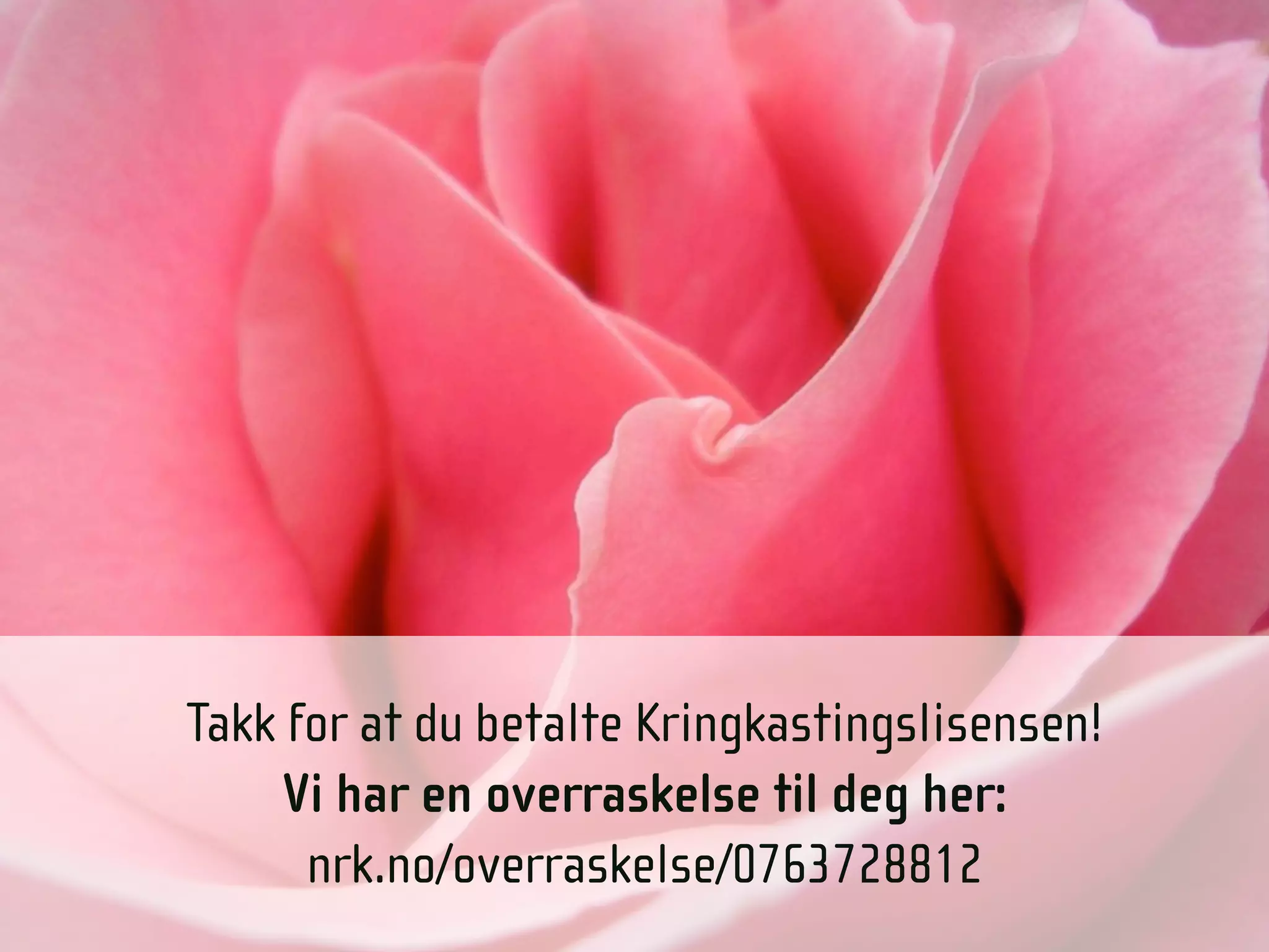 Takk for at du betalte Kringkastingslisensen!
     Vi har en overraskelse til deg her:
      nrk.no/overraskelse/0763728812
                                                97 11 12 13
 