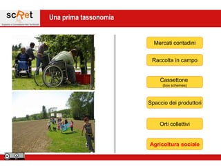 Una prima tassonomia


                         Mercati contadini


                        Raccolta in campo


                           Cassettone
                            (box schemes)



                       Spaccio dei produttori


                           Orti collettivi


                       Agricoltura sociale
 