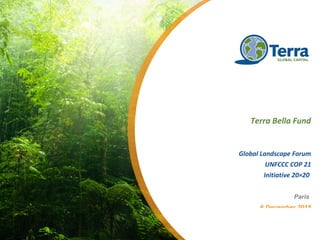 Terra Bella Fund
Global Landscape Forum
UNFCCC COP 21
Initiative 20×20
Paris
6 December 2015
 